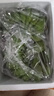 广西小米蕉小香蕉自然熟迷你香蕉苹果蕉小芭蕉新鲜水果特产鸡蕉 小米蕉 9斤 泡沫箱打包 实拍图