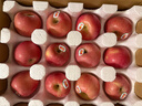 都乐Dole山东红富士苹果4.5斤装 单果160g 生鲜水果 源头直发 包邮 实拍图