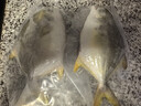 翔泰海南深海金鲳鱼700g 2条 火锅 生鲜鱼类 BAP认证 海鲜水产  实拍图