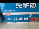 光明【新鲜日期】纯牛奶250mL*24盒家庭量贩装营养早餐伴侣送礼 实拍图