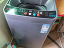 志高（CHIGO）全自动洗衣机 波轮宿舍迷你小型家用 洗烘一体 智能洗脱一体机 大容量 风干 【12Kg升级加厚-蓝光洗护-强动力电机】 实拍图