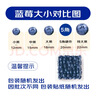 京鲜生 云南蓝莓 4盒18mm+装 125g/盒 生鲜水果 源头直发 包邮 实拍图