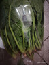 大菠菜300g 实拍图
