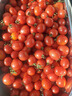京鲜生山东千禧贝贝小西红柿 圣女果 净重2.8斤源头直发 实拍图