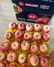 佳农 烟台红富士苹果 净重10斤  单果重190g以上 生鲜水果礼盒 实拍图