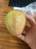 京觅福建红心芭乐 番石榴 应季 低糖孕妇水果 单果150g 净重3斤装 实拍图