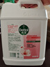 滴露（Dettol）洗手液补充装大桶消毒滋润5L 儿童家庭装杀菌护手 实拍图