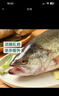 鲜活冲浪河鲈鱼400-500g/条 实拍图