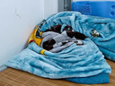 洁丽雅（Grace）毛毯加厚法兰绒毯子珊瑚绒午睡空调毯春秋盖毯梦想星空150*200cm  实拍图