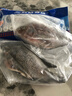 GUO LIAN国联水产三去罗非鱼4条共2.8斤净重非洲鲫鱼水产生鲜食材源头直发 实拍图