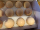 1号会员店One's Member 减醇可生食标准鲜鸡蛋 15枚 单枚55g 源头直发 实拍图