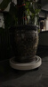 卉馨钢化可移动花盆托盘带万向轮底座滚轮花盘托架大底盘加厚接水轮拖 36#钢化托盘-轻乳白 内径32cm 实拍图