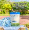 贝拉米（Bellamy's）经典2.0版3段幼儿奶粉800g 1~3岁 八大原生HMO 澳洲原装进口 实拍图