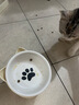 甜浪海猫碗陶瓷猫粮碗狗碗猫食盆猫咪喝水碗高脚斜口防打翻护颈喂食碗 实拍图
