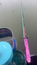 达亿瓦（DAIWA） 新款 一击樱 综合休闲手杆台钓竿轻碳素进口钓鱼竿钓杆 垂钓装备 F-4.8米 实拍图
