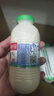 李子园甜牛奶乳饮料原味饮品225ml*20瓶学生儿童奶营养早餐奶整箱黑五 实拍图