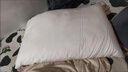 水星家纺枕头枕芯酒店枕头护颈枕头芯家用单个纯棉抗菌可水洗低枕48x74cm 实拍图