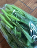 【高山鲜】宁夏菜心300g 实拍图