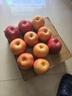 京鲜生 陕西洛川红富士苹果 净重5斤 单果85-90mm 新鲜水果 源头直发 实拍图