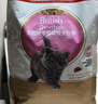 皇家猫粮 英短幼猫粮 BSK38 通用粮 4-12月 2KG 实拍图
