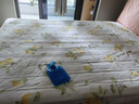 水星家纺100%纯棉印花床单全棉精梳棉A类裸睡家用床垫保护套200cm×230cm 实拍图