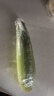 佳农宝菜山东带绿皮新鲜水果玉米单根275g+净重4.6斤4-7根源头直发 实拍图
