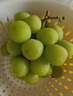 京鲜生阳光玫瑰香青提净重4.5-5斤装单果10g 葡萄/提子 水果源头直发 实拍图