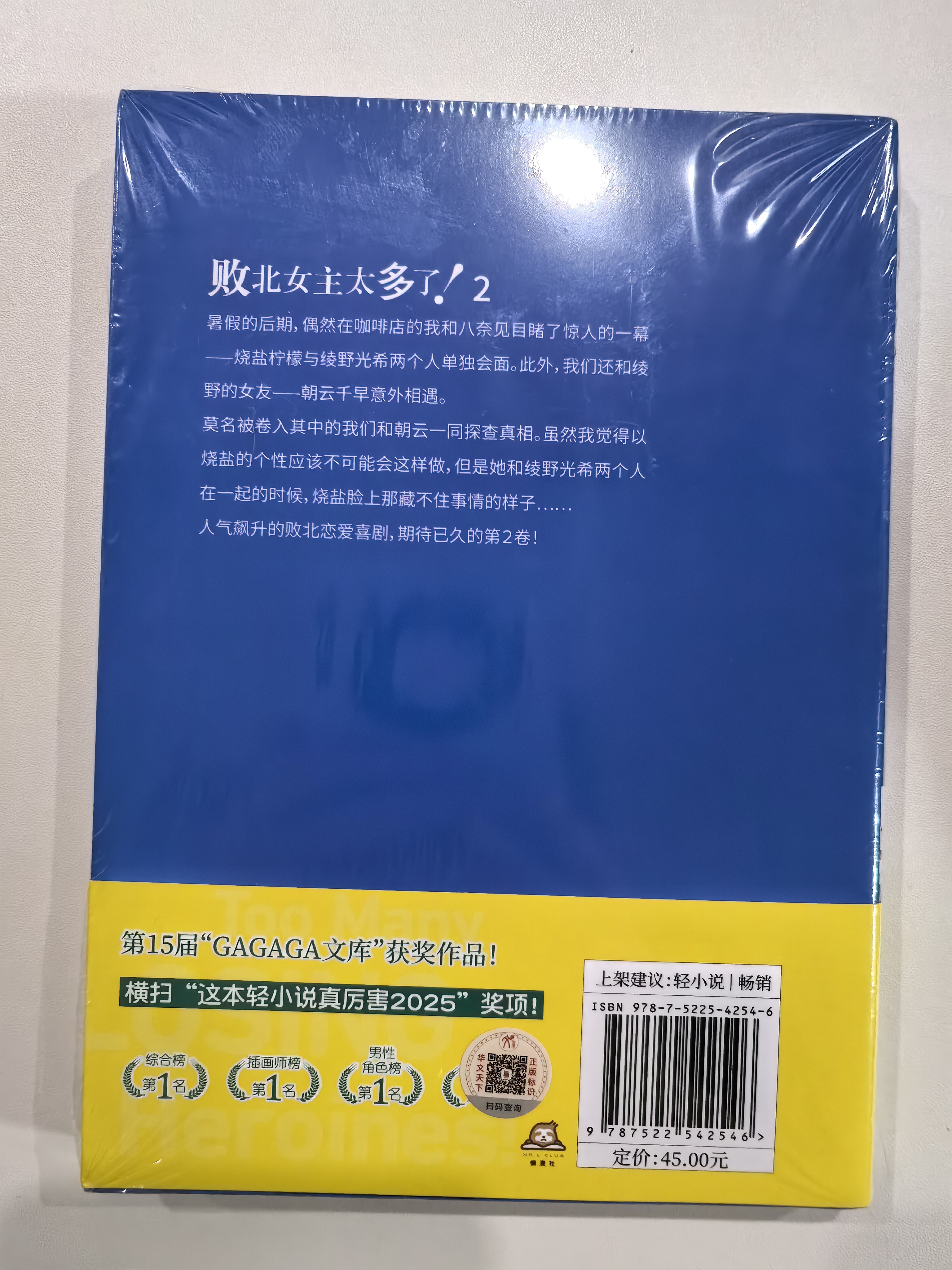 败北女主太多了 2 败犬女主太多了  简体中文版 雨森焚火轻小说代表作 败北女角太多了青春恋爱轻喜剧实体书  实拍图