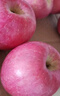 京鲜生 烟台红富士苹果 8粒装 单果160-190g 生鲜水果 实拍图