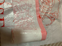 利得抽绳垃圾袋玫瑰印花50*55cm100只1.2丝加厚家用免撕塑料袋 实拍图