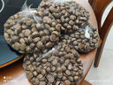 【超市品质】正宗迁西新鲜老树板栗源头直发新鲜蔬菜生鲜可生吃 迁西老树板栗 中果 4斤 实拍图