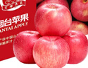 京鲜生 烟台红富士苹果 净重5.2斤/12粒  单果190-240g  水果礼盒 实拍图