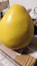 福建平和老树红柚 新鲜现摘 皮薄肉厚多汁 蜜柚柚子 1-1.5斤（2粒）性价比 实拍图