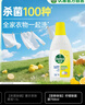 滴露（Dettol）衣物除菌液 柠檬750ml 高效杀菌除螨99.9% 配洗衣液 实拍图