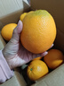 江西赣南脐橙 橙子纽荷尔甜橙水果甜橙子现摘当季正箱新鲜水果 9斤装净重（单果170g起） 实拍图