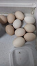 京喜加农家新鲜散养鸡蛋单枚40g正负5g谷饲蛋初生蛋溏心蛋早餐生鲜买菜 10枚 实拍图