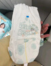 帮宝适超薄透气清新帮透氧Pro婴儿拉拉裤尿不湿尿片尿布XXXL48 实拍图