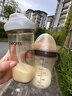 世喜婴儿学饮杯7个月以上鸭嘴杯PPSU喝水奶瓶重力球儿童吸管水杯300ml 实拍图