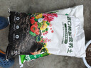 绿盼土壤营养土通用型有机种植菜养花15L多肉育苗家庭园艺植物盆栽 实拍图