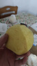 京鲜生 河北雪花梨 净重5斤 单果300g+ 生鲜水果礼盒 实拍图