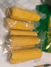 十月稻田 黄糯玉米 3.52斤(220g*8根) 25年新玉米 东北玉米 早餐 低脂粗粮 实拍图