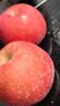 甜醉了烟台苹果水果生鲜果脆甜栖霞红富士整箱应季山东特产礼盒产地直发 红富士18枚80-85mm 实拍图