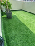 清雅仿真草坪地毯假草皮铺垫塑料户外人造球场人工围挡幼儿园绿色地垫 2厘米全新升级11针加密优质B级款 (2米宽1米长)2平方（最长25m需要多长拍几件） 实拍图