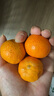 京鲜生 广西砂糖橘 净重4.5斤 单果35-45mm  生鲜水果 源头直发包邮 实拍图