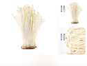 金针菇150g 实拍图
