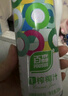 百森生榨椰汁 植物蛋白椰汁饮料245ml*12罐 整箱装 实拍图