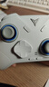 飞智冰原狼4多模版无线游戏手柄 类xbox 力调节摇杆双切扳机 switch电脑PC手机steam体感NS 丝之歌 实拍图