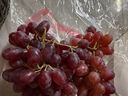 新疆糖果脆波波无籽红提约450g 实拍图