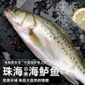 海鼎纪三去海鲈鱼2条装共800g 开背鲈鱼生鲜鱼类 海鲜水产夜宵食材 实拍图