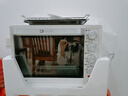 长帝（changdi）【国家补贴】家用烤箱多功能电烤箱 32升大容量 上下管独立控温 多面搪瓷内胆 机械式旋钮 白色 实拍图